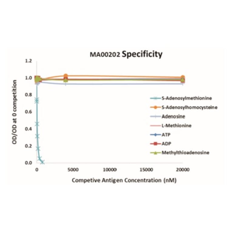 Standard Curve - Anti-SAM Antibody from Arthus Biosystems (MA00202) - Antibodies.com