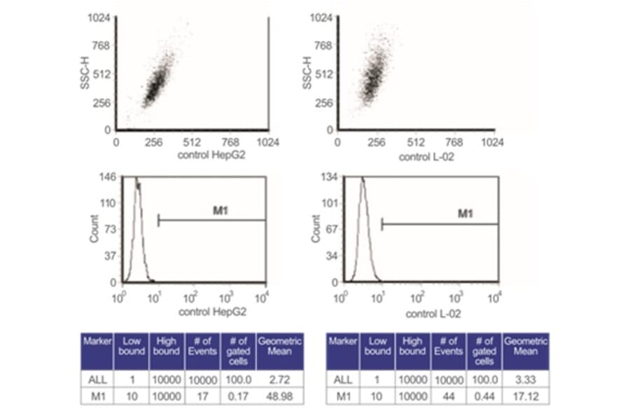Flow Cytometry Control - Anti-SAM Antibody from Arthus Biosystems (MA00202) - Antibodies.com