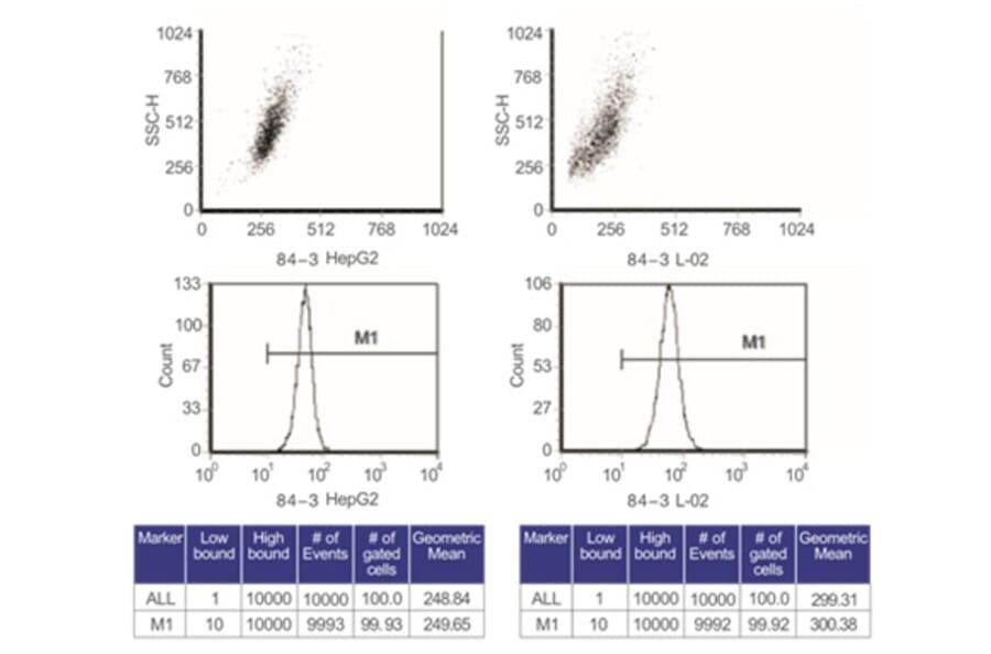 Flow Cytometry Control - Anti-SAM Antibody from Arthus Biosystems (MA00202) - Antibodies.com
