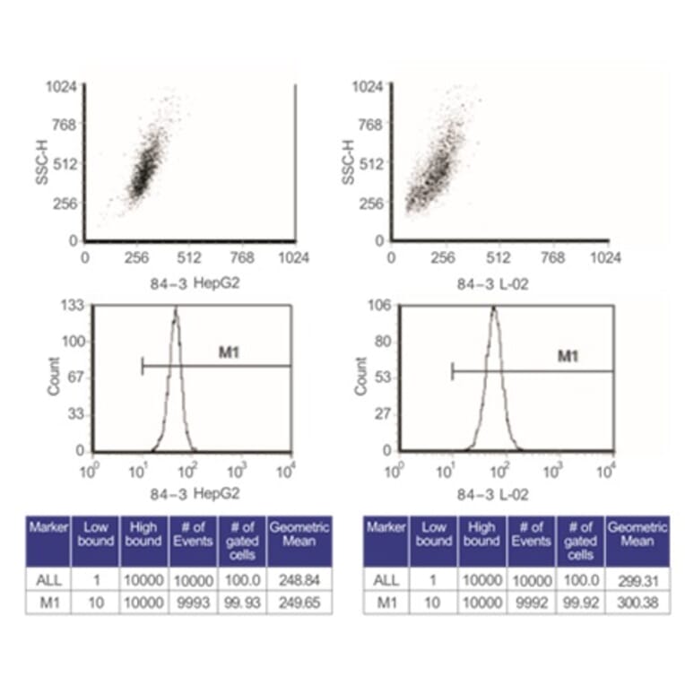 Flow Cytometry Control - Anti-SAM Antibody from Arthus Biosystems (MA00202) - Antibodies.com