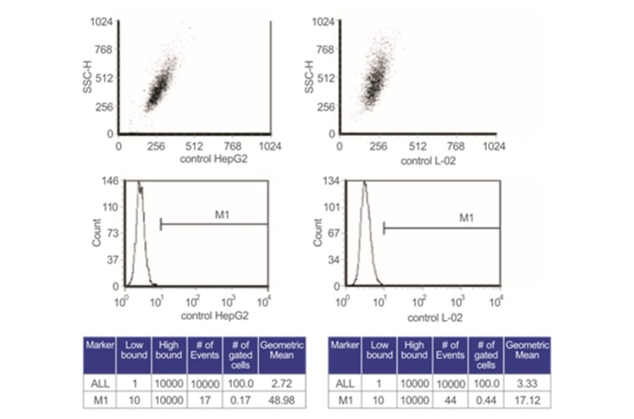 Flow Cytometry Control - Anti-SAM Antibody from Arthus Biosystems (MA00204) - Antibodies.com