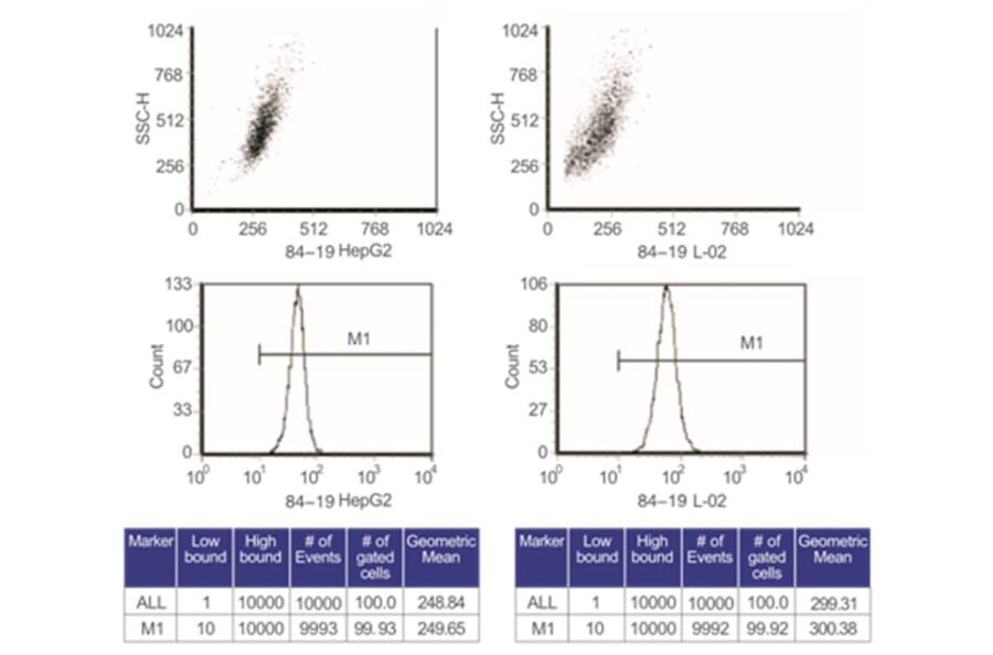 Flow Cytometry Control - Anti-SAM Antibody from Arthus Biosystems (MA00204) - Antibodies.com