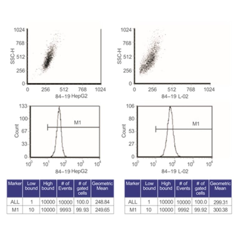 Flow Cytometry Control - Anti-SAM Antibody from Arthus Biosystems (MA00204) - Antibodies.com