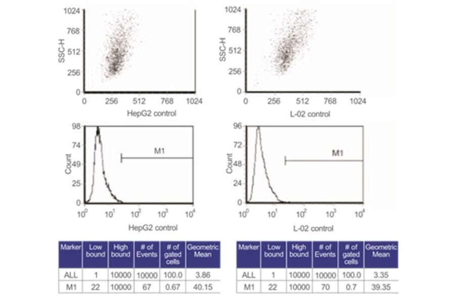 Flow Cytometry Control - Anti-SAM Antibody from Arthus Biosystems (PA00201) - Antibodies.com