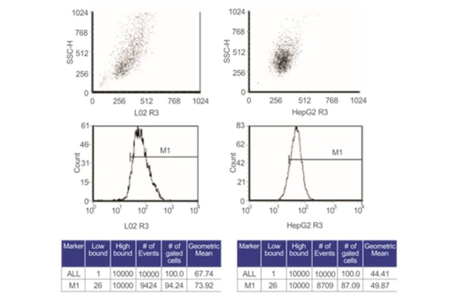 Flow Cytometry Control - Anti-SAM Antibody from Arthus Biosystems (PA00201) - Antibodies.com