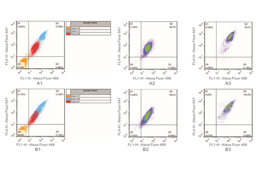 Flow Cytometry Control - Anti-SAM Antibody from Arthus Biosystems (MAF00201) - Antibodies.com