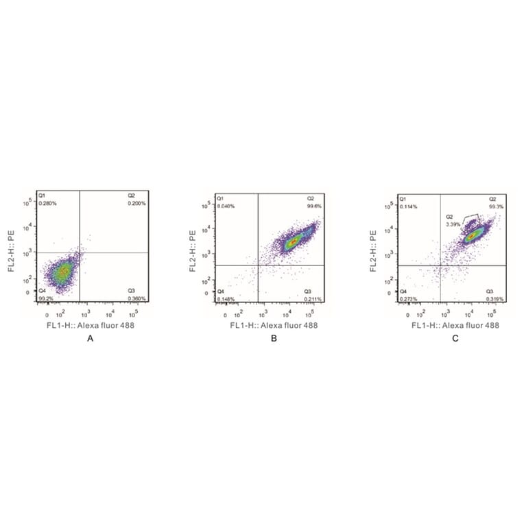 Flow Cytometry Control - Anti-SAM Antibody from Arthus Biosystems (MAF00202) - Antibodies.com