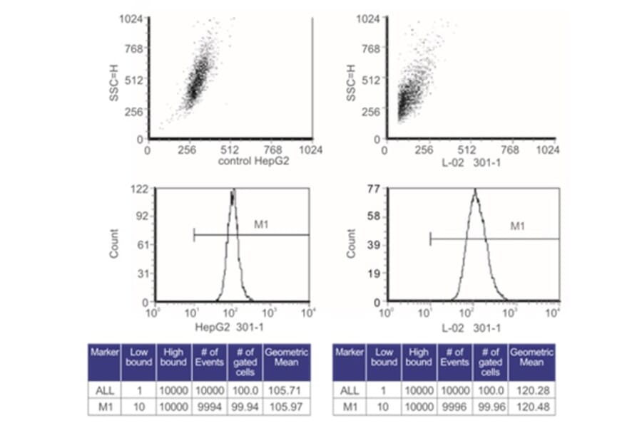 Flow Cytometry Control - Anti-SAH Antibody from Arthus Biosystems (MA00301) - Antibodies.com