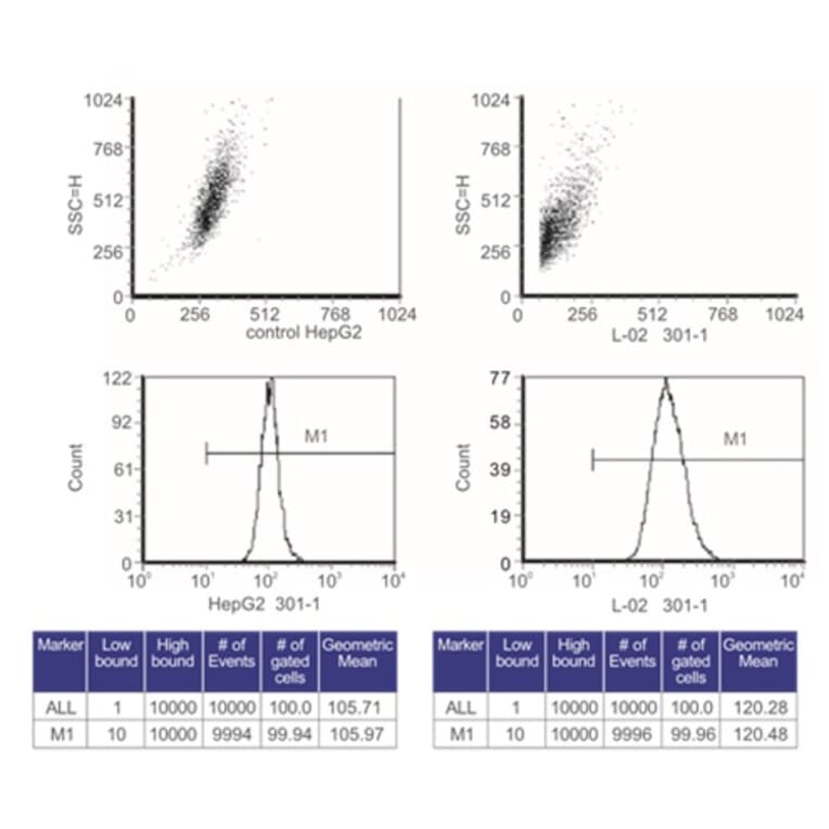Flow Cytometry Control - Anti-SAH Antibody from Arthus Biosystems (MA00301) - Antibodies.com