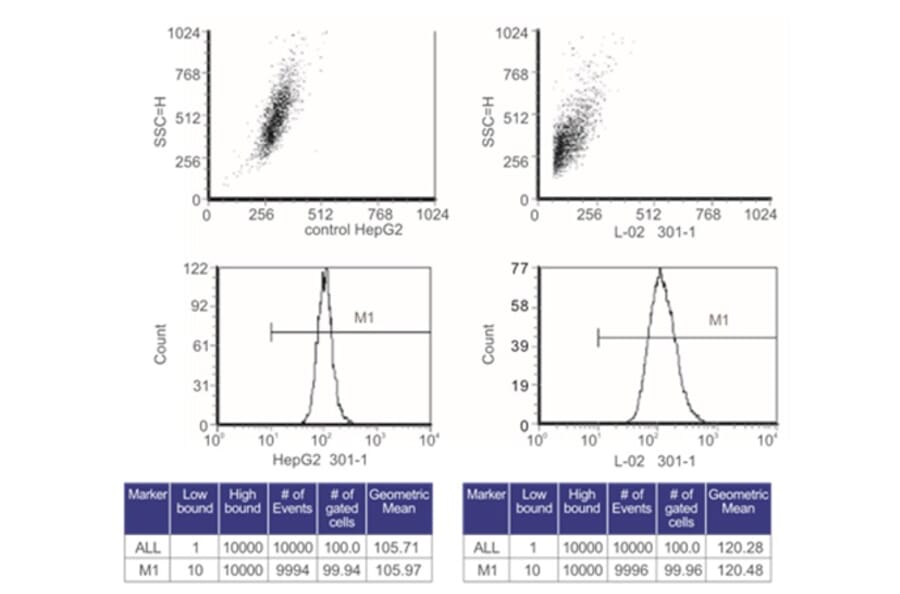 Flow Cytometry Control - Anti-SAH Antibody from Arthus Biosystems (MA00302) - Antibodies.com