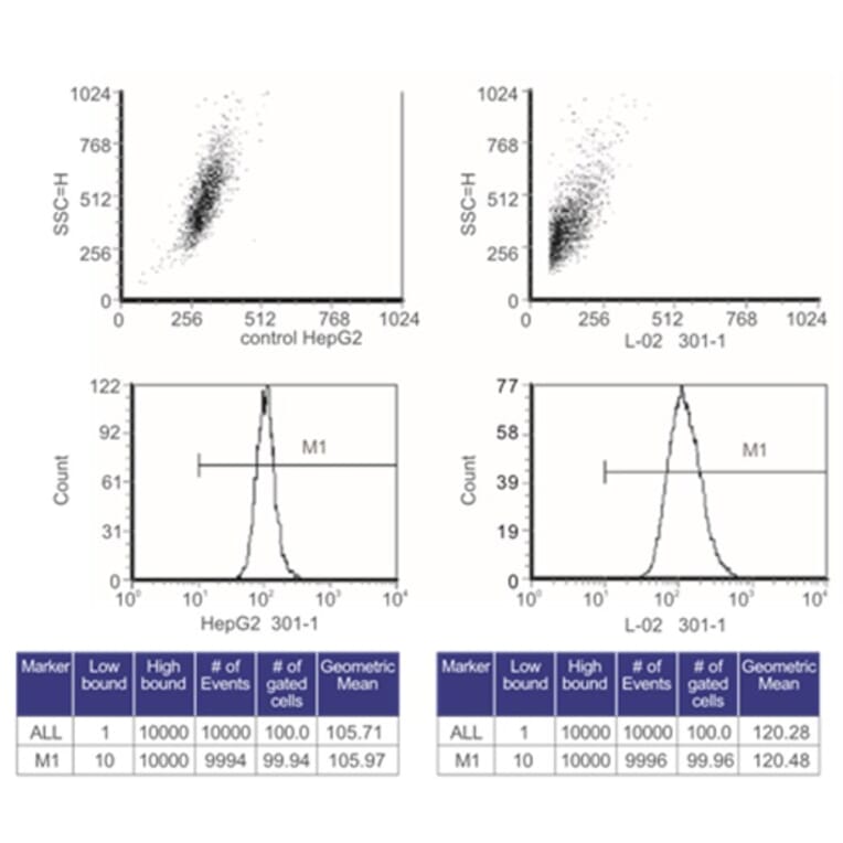 Flow Cytometry Control - Anti-SAH Antibody from Arthus Biosystems (MA00302) - Antibodies.com