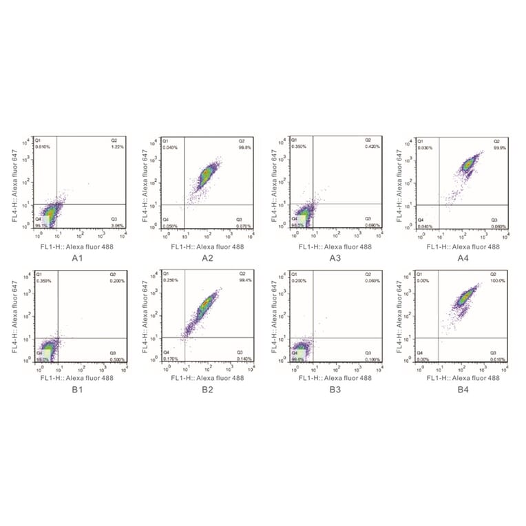 Flow Cytometry Control - Anti-SAH Antibody from Arthus Biosystems (MAF00301) - Antibodies.com