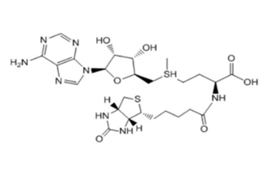 Chemical Structure - Bio-SAM from Arthus Biosystems (ACT00202) - Antibodies.com