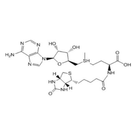 Chemical Structure - Bio-SAM from Arthus Biosystems (ACT00202) - Antibodies.com