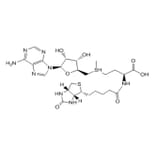 Chemical Structure - Bio-SAM from Arthus Biosystems (ACT00202) - Antibodies.com