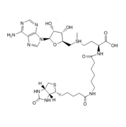 Chemical Structure - Bio-6C-SAM 1 from Arthus Biosystems (ACT00203) - Antibodies.com