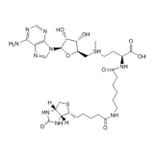 Chemical Structure - Bio-6C-SAM 1 from Arthus Biosystems (ACT00203) - Antibodies.com