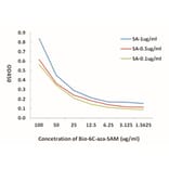 Standard Curve - Bio-6C-aza-SAM from Arthus Biosystems (ACT00205) - Antibodies.com