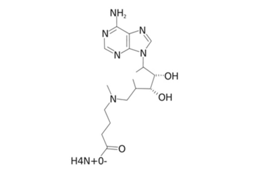 Chemical Structure - Aza-SAM as from Arthus Biosystems (AST00201s) - Antibodies.com