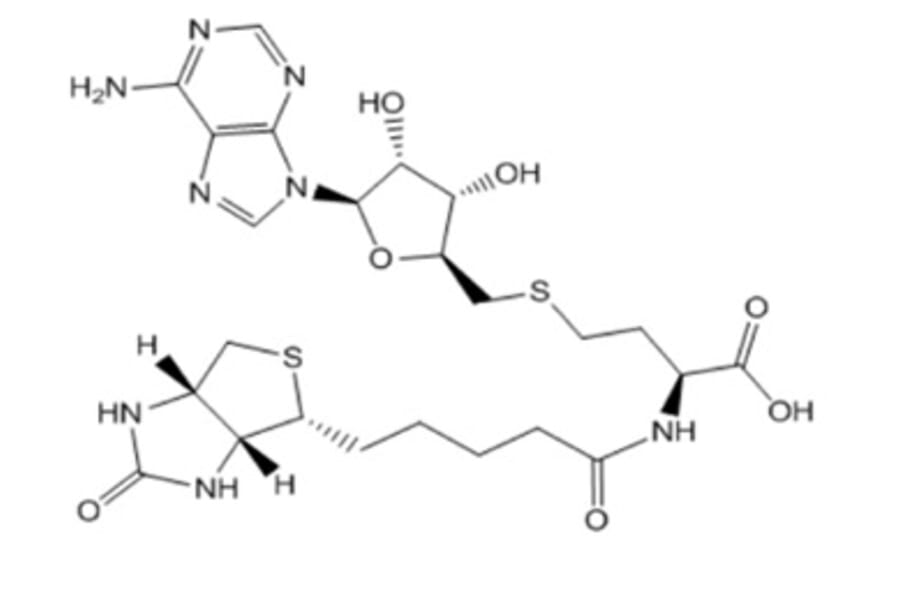 Chemical Structure - Bio-SAH from Arthus Biosystems (ACT00302) - Antibodies.com