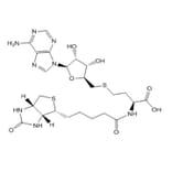 Chemical Structure - Bio-SAH from Arthus Biosystems (ACT00302) - Antibodies.com