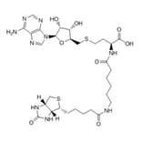 Chemical Structure - Bio-6C-SAH from Arthus Biosystems (ACT00303) - Antibodies.com