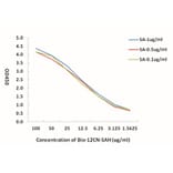 Standard Curve - Bio-12CN-SAH from Arthus Biosystems (ACT00305) - Antibodies.com