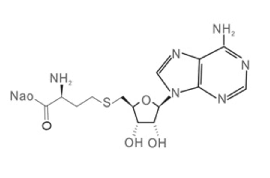 Chemical Structure - S-Adenosylhomocysteine Sodium Salt from Arthus Biosystems (AST00301) - Antibodies.com