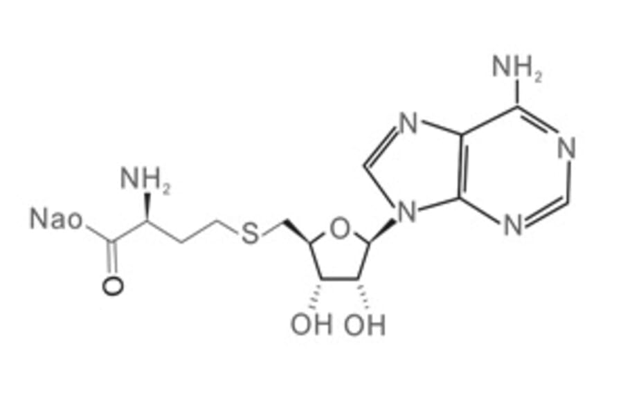 Chemical Structure - S-Adenosylhomocysteine Sodium Salt from Arthus Biosystems (AST00301s) - Antibodies.com
