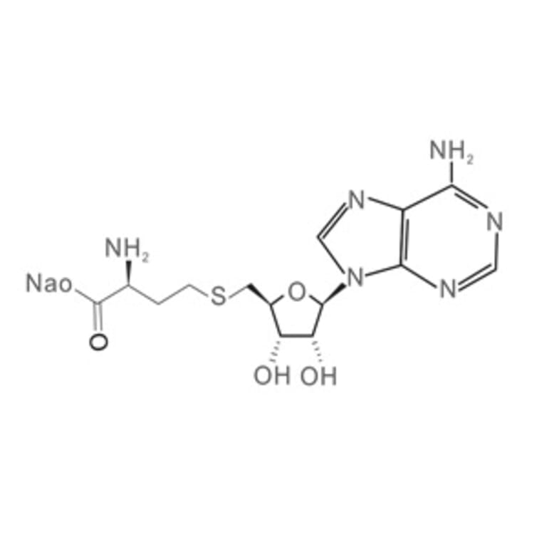 Chemical Structure - S-Adenosylhomocysteine Sodium Salt from Arthus Biosystems (AST00301s) - Antibodies.com