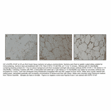 Anti-Adiponectin Antibody (FITC) from FabGennix (ADPN-FITC) - Antibodies.com