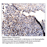 Anti-CD3 epsilon Antibody from FabGennix (CD3-101AP) - Antibodies.com
