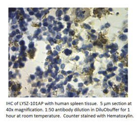 Anti-Lysozyme Antibody from FabGennix (LYSZ-101AP) - Antibodies.com