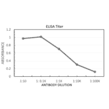 Anti-DWORF Antibody from FabGennix (DWORF-101AP) - Antibodies.com
