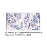 Anti-BST2 Antibody from FabGennix (BST2-201AP) - Antibodies.com