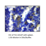Anti-TIA1 Antibody from FabGennix (TIA-101AP) - Antibodies.com