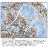 Anti-DCK Antibody from FabGennix (DCK-101Y) - Antibodies.com