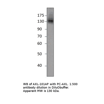 Axl Positive Control from FabGennix (PC-AXL) - Antibodies.com