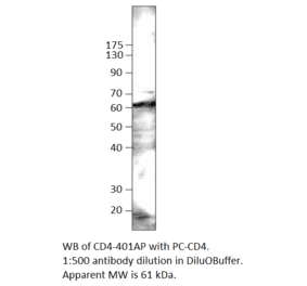 CD4 Positive Control from FabGennix (PC-CD4) - Antibodies.com