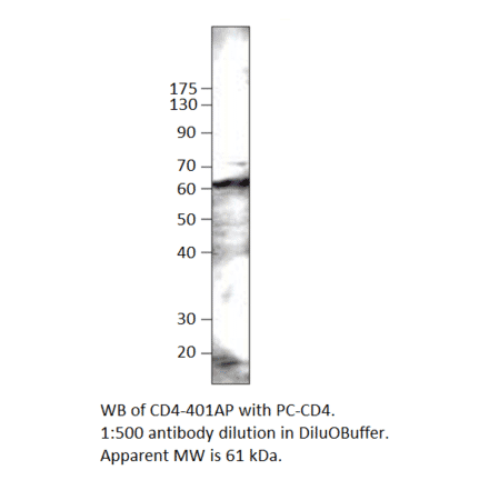 CD4 Positive Control from FabGennix (PC-CD4) - Antibodies.com