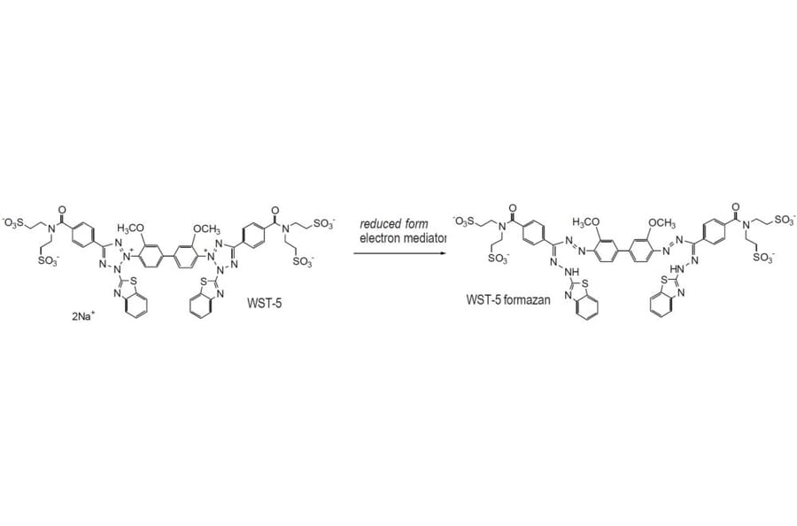 Diagram - WST-5 Tetrazolium Salt (A57187) - Antibodies.com