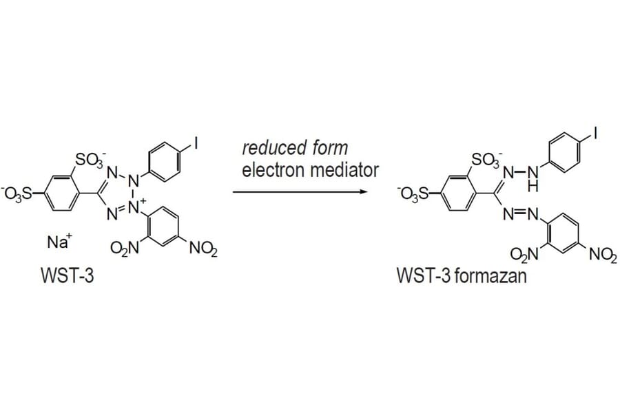 Diagram - WST-3 Tetrazolium Salt (A57189) - Antibodies.com