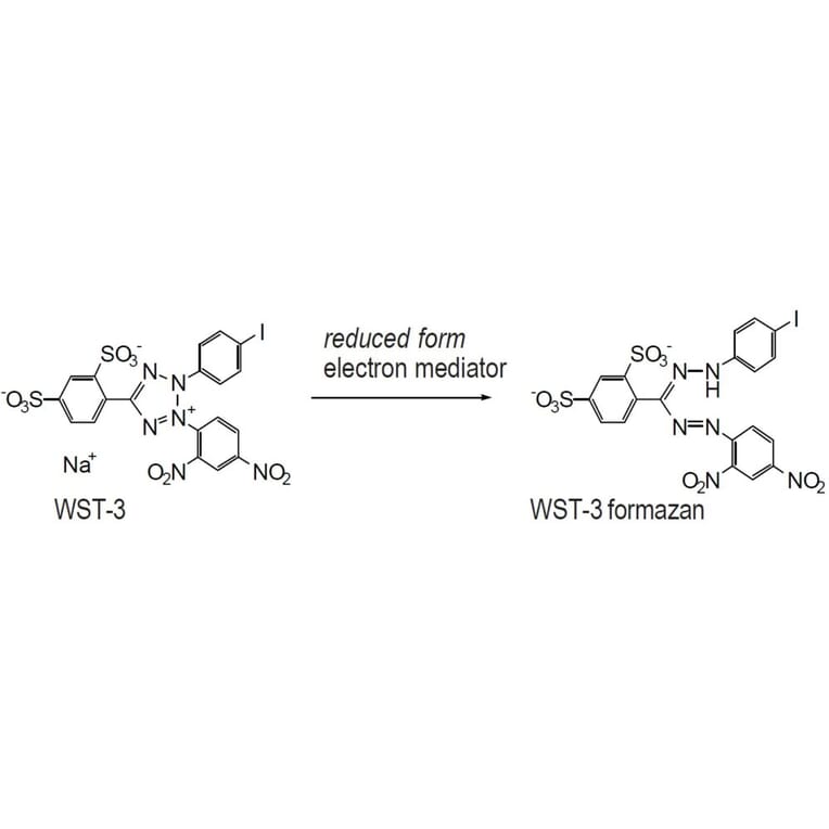 Diagram - WST-3 Tetrazolium Salt (A57189) - Antibodies.com
