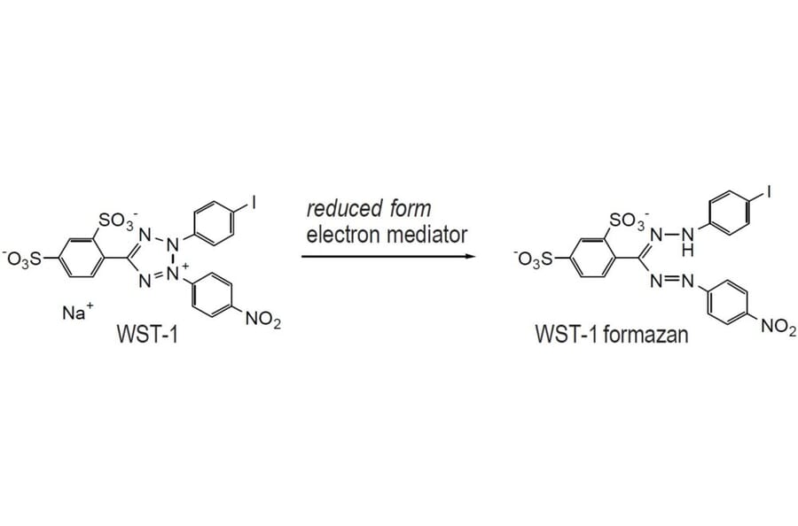 Diagram - WST-1 Tetrazolium Salt (A57190) - Antibodies.com