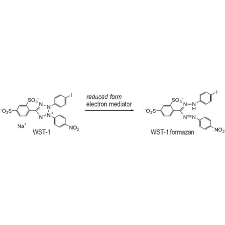 Diagram - WST-1 Tetrazolium Salt (A57190) - Antibodies.com