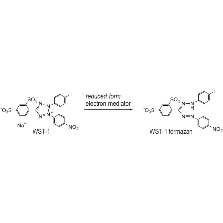 Diagram - WST-1 Tetrazolium Salt (A57190) - Antibodies.com