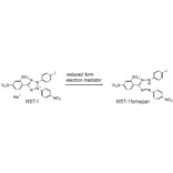Diagram - WST-1 Tetrazolium Salt (A57190) - Antibodies.com