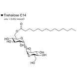 Structure - Trehalose C14 - Trehalose Dimyristate (A57193) - Antibodies.com