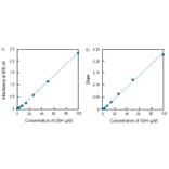 Diagram - Total Glutathione Quantification Kit (A57197) - Antibodies.com