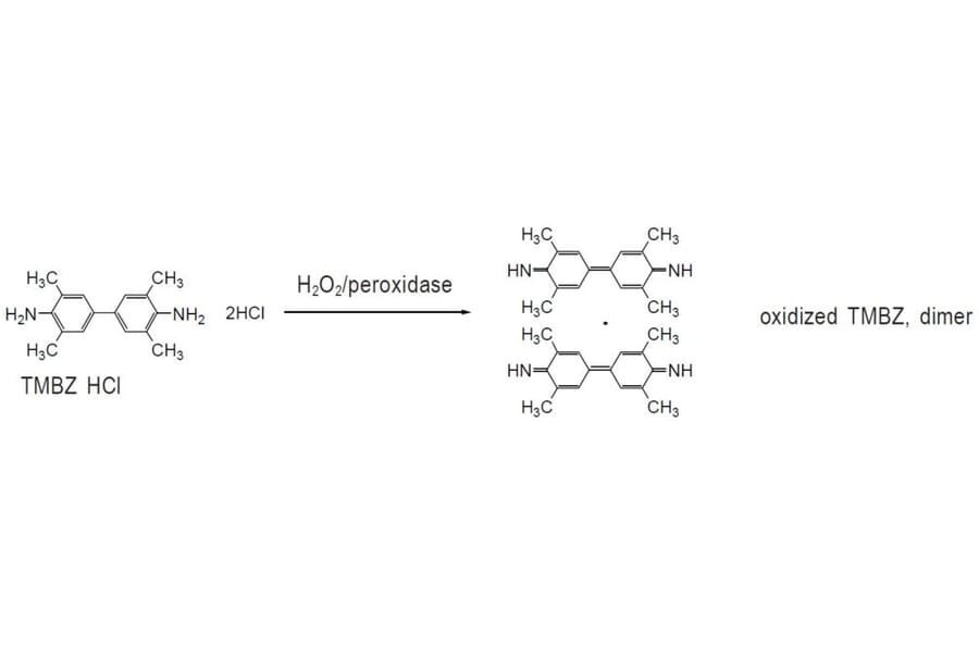 Diagram - TMBZ Dihydrochloride - HRP Substrate (A57202) - Antibodies.com